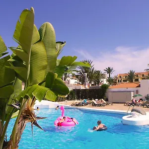 apartment-in-paraiso-royal-playa-de-las-americas-tenerife.in-canary-islands.com/
